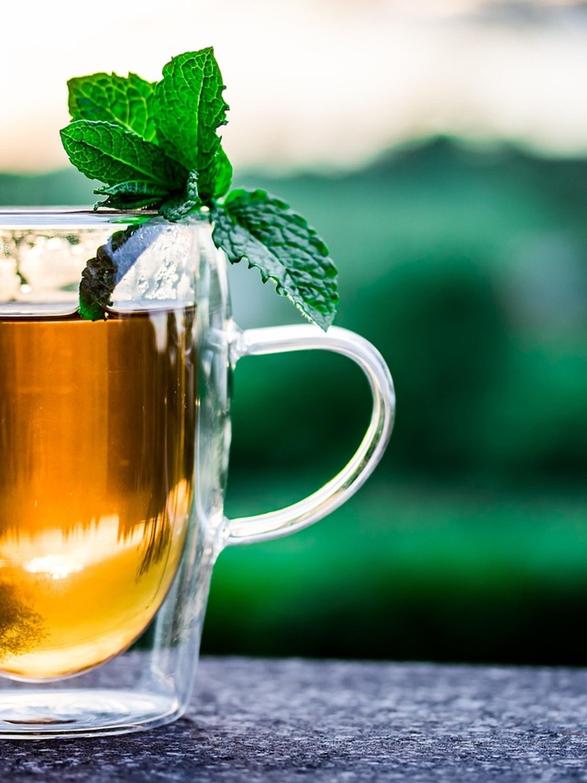 Tasse de thé à la menthe pour se réhydrater